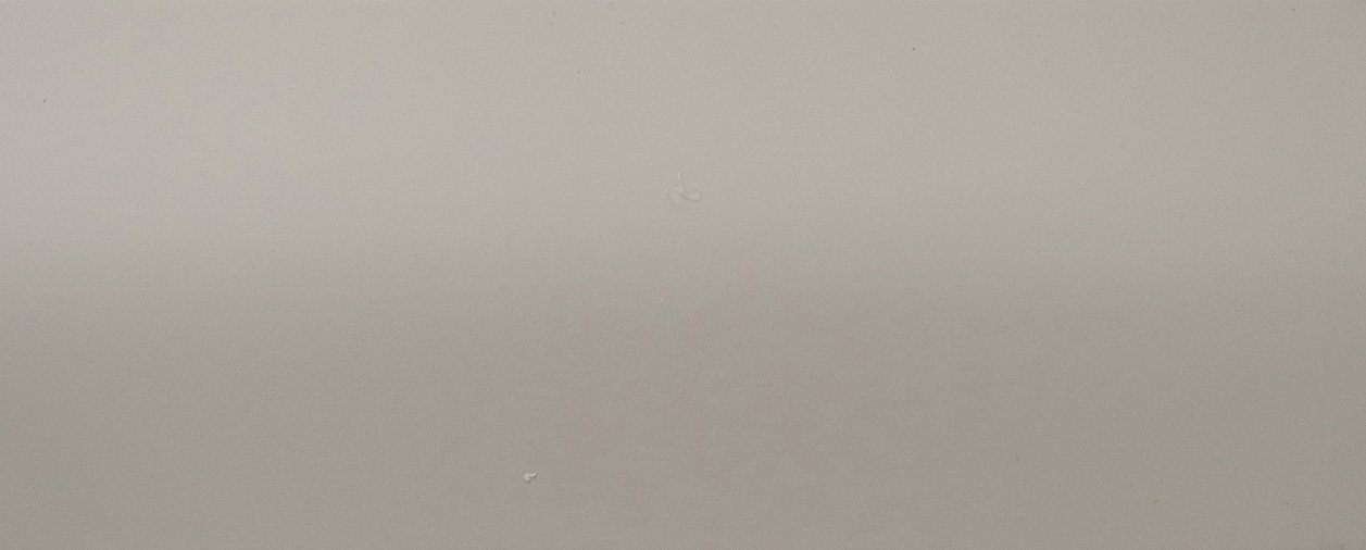 25mm Slat Beige